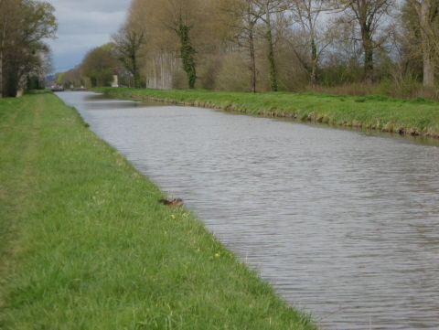 photo 112 canal du Berry