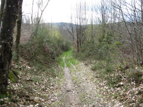 photo 125 chemin creux