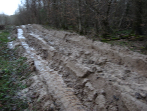 photo 39 - 1er jour 3