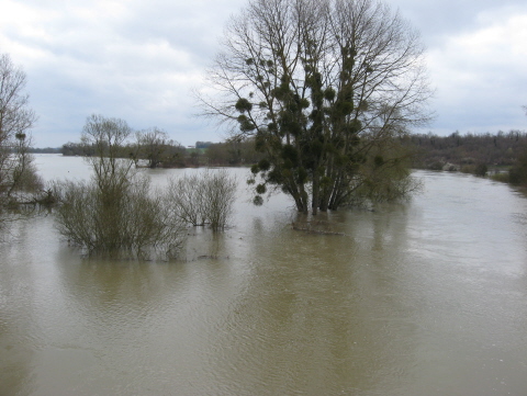 photo 42 - l'aisne en crue