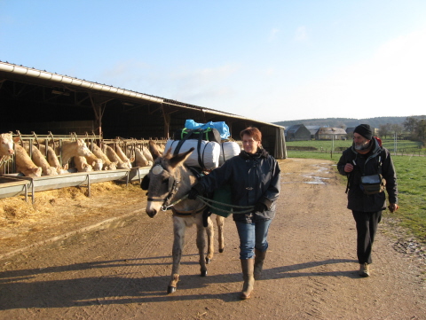 photo 96 ferme  Champlemy